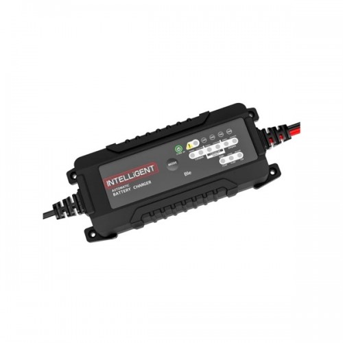 Φορτιστής μπαταριών μολύβδου LifePo 230v AC -> 6-12v DC 6A αυτόματος LB60 Minwa